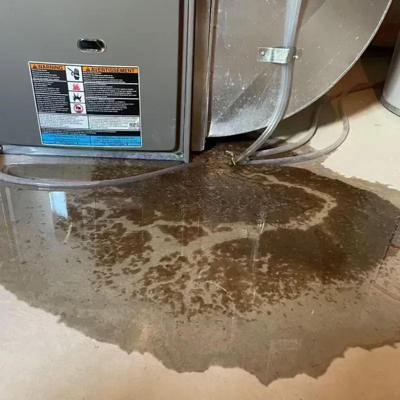 Appliance Leak Cleanup in Mission, TX